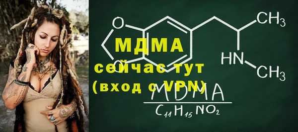 индика Лабытнанги