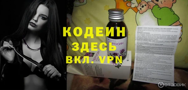 индика Лабытнанги