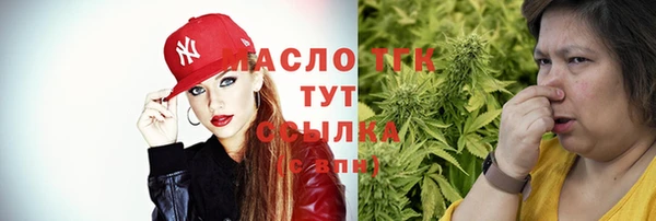 индика Лабытнанги