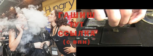 индика Лабытнанги