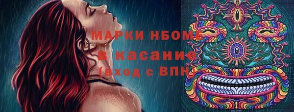 индика Лабытнанги