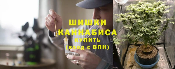 индика Лабытнанги